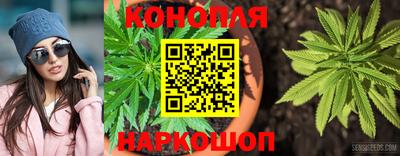 ГАЛЛЮЦИНОГЕННЫЕ ГРИБЫ Аргун