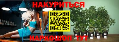 ГАЛЛЮЦИНОГЕННЫЕ ГРИБЫ Аргун