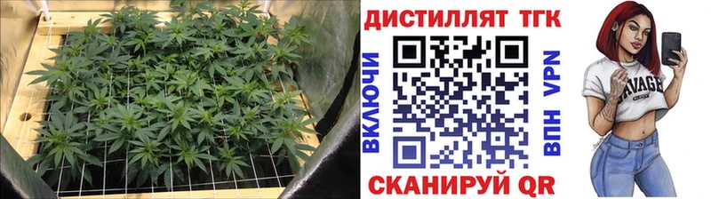 Дистиллят ТГК вейп  где купить наркоту  Брянск 