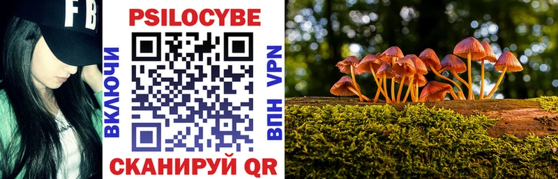 Псилоцибиновые грибы Cubensis  Брянск 