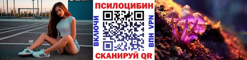 Псилоцибиновые грибы прущие грибы Брянск