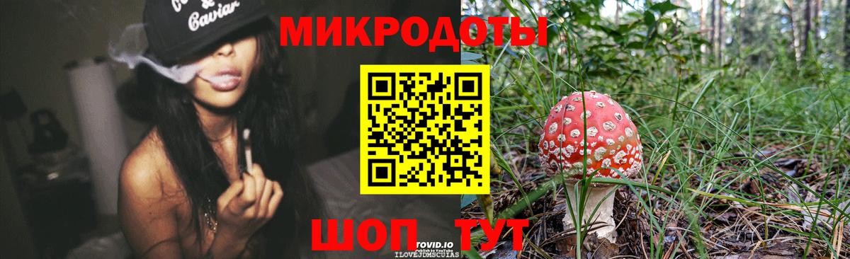 Псилоцибиновые грибы Psilocybine cubensis Брянск