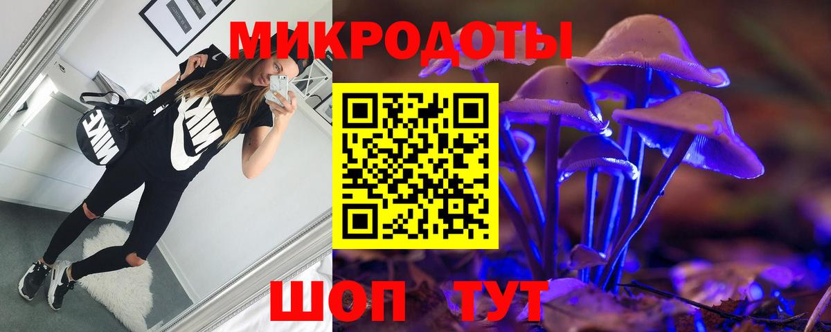 Брянск  Псилоцибиновые грибы Psilocybine cubensis  Вход с VPN 